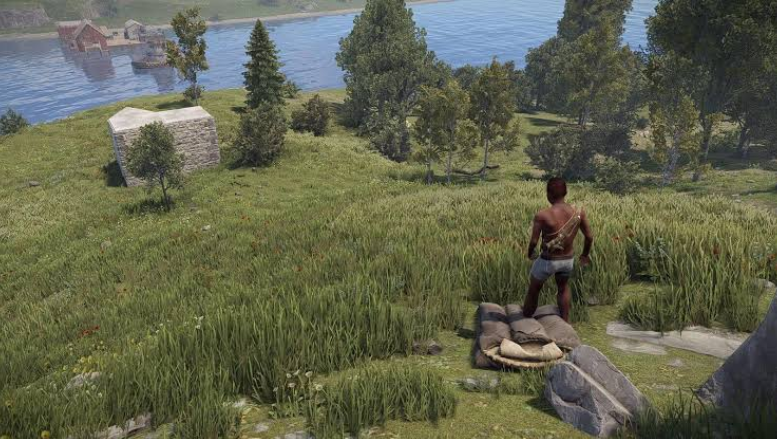 Rust Review - screen capture